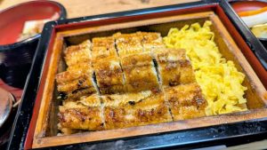 うなパワー